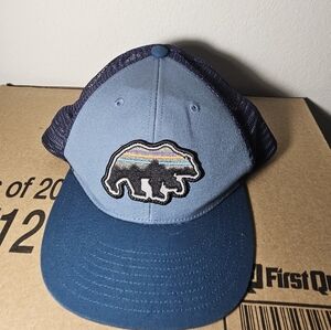 Patagonia truckers hat